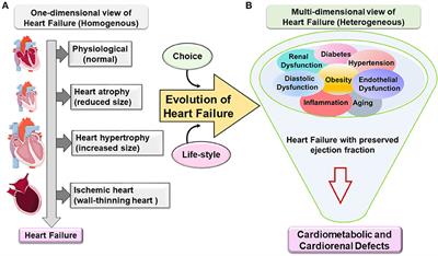 Frontiers | Heart Failure Syndrome With Preserved Ejection Fraction Is ...